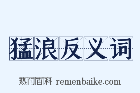 猛浪反义词是什么意思的图片